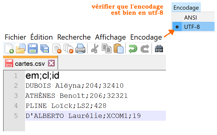 fichier csv type avec Notepad++