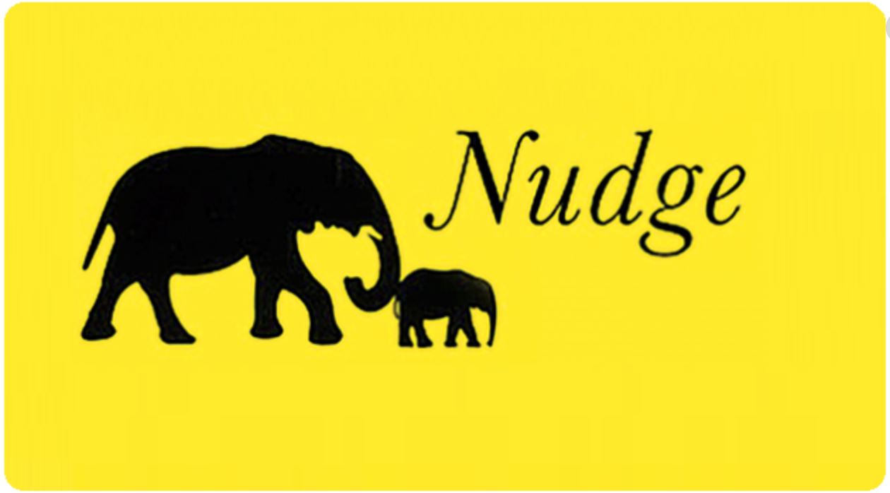 nudge 5